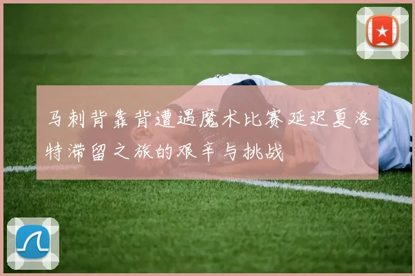 马刺背靠背遭遇魔术比赛延迟夏洛特滞留之旅的艰辛与挑战